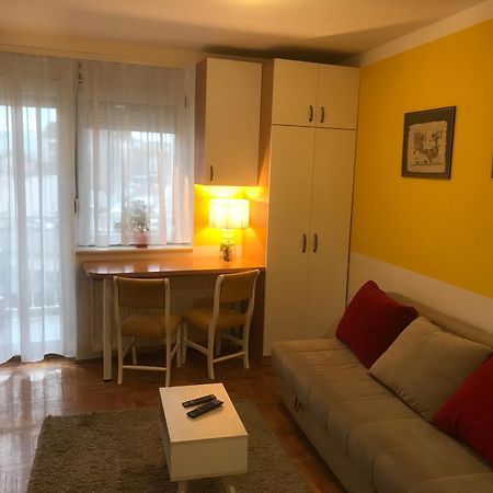 Studio Tina Sajam Novi Sad Luaran gambar