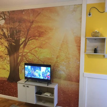 Studio Tina Sajam Novi Sad Luaran gambar