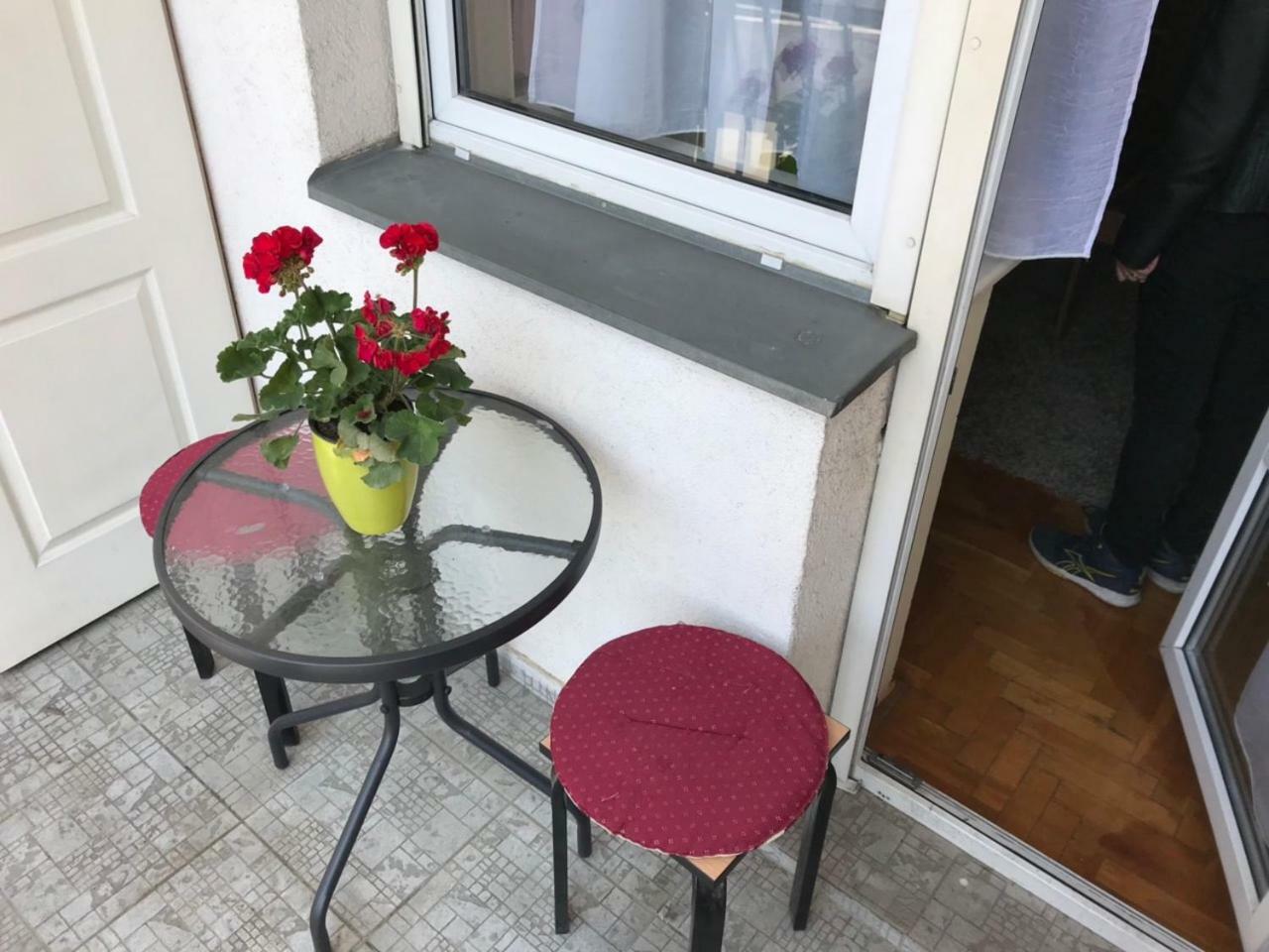 Studio Tina Sajam Novi Sad Luaran gambar